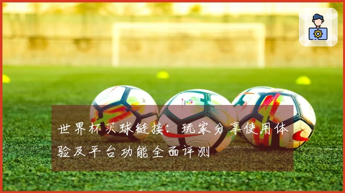世界杯买球链接：玩家分享使用体验及平台功能全面评测