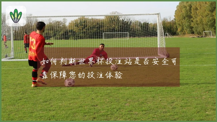 如何判断世界杯投注站是否安全可靠保障您的投注体验