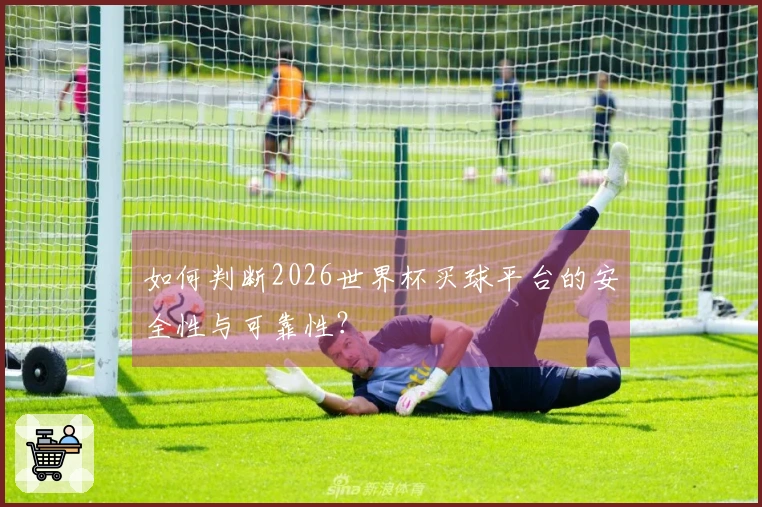 如何判断2026世界杯买球平台的安全性与可靠性？