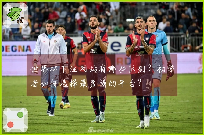 世界杯下注网站有哪些区别？初学者如何选择最靠谱的平台？