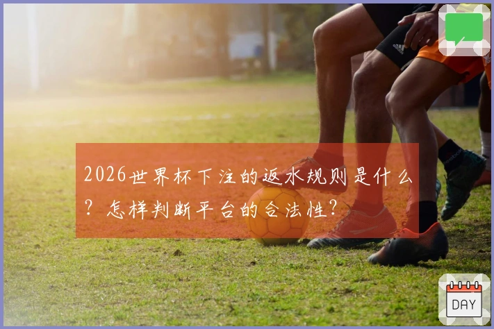 2026世界杯下注的返水规则是什么？怎样判断平台的合法性？