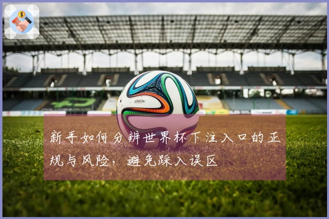 新手如何分辨世界杯下注入口的正规与风险，避免踩入误区