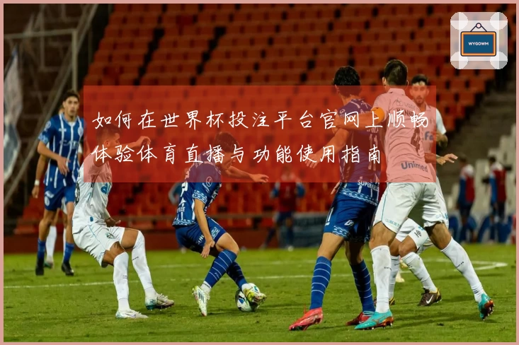 如何在世界杯投注平台官网上顺畅体验体育直播与功能使用指南