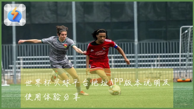 世界杯买球平台地址APP版本说明及使用体验分享