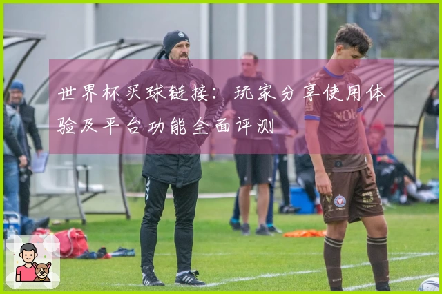 世界杯买球链接：玩家分享使用体验及平台功能全面评测