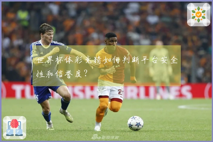 世界杯体彩竞猜如何判断平台安全性和信誉度？