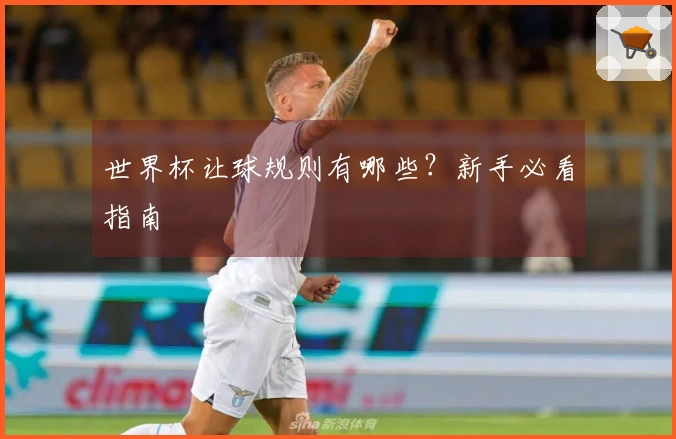 世界杯让球规则有哪些？新手必看指南