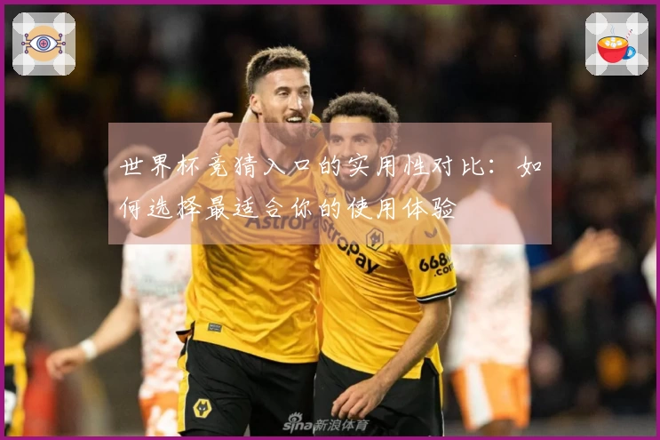 世界杯竞猜入口的实用性对比：如何选择最适合你的使用体验