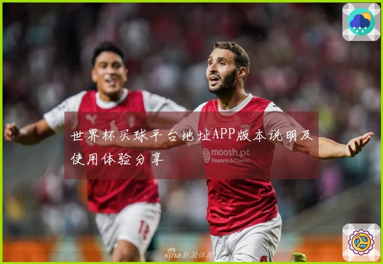 世界杯买球平台地址APP版本说明及使用体验分享