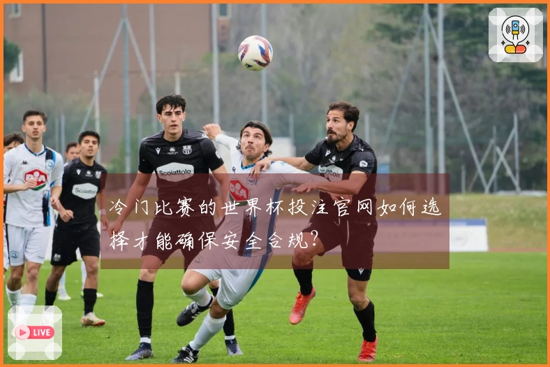 冷门比赛的世界杯投注官网如何选择才能确保安全合规？
