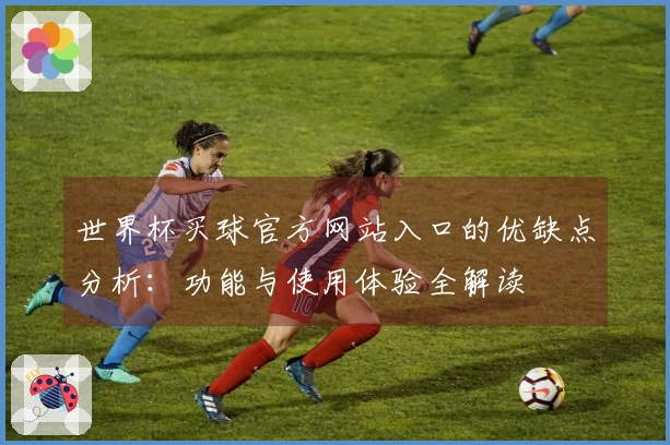 世界杯买球官方网站入口的优缺点分析：功能与使用体验全解读