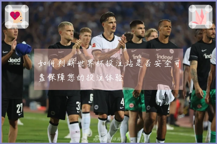 如何判断世界杯投注站是否安全可靠保障您的投注体验