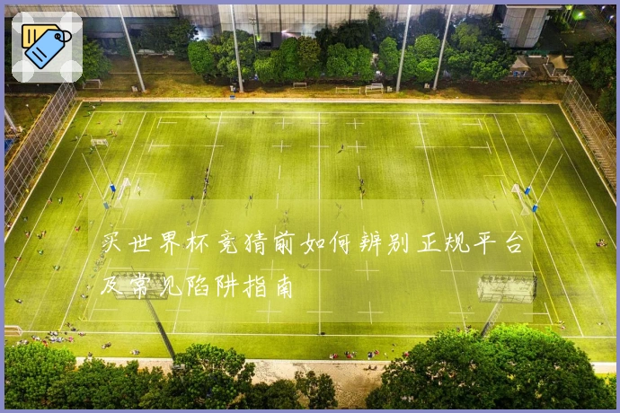 买世界杯竞猜前如何辨别正规平台及常见陷阱指南