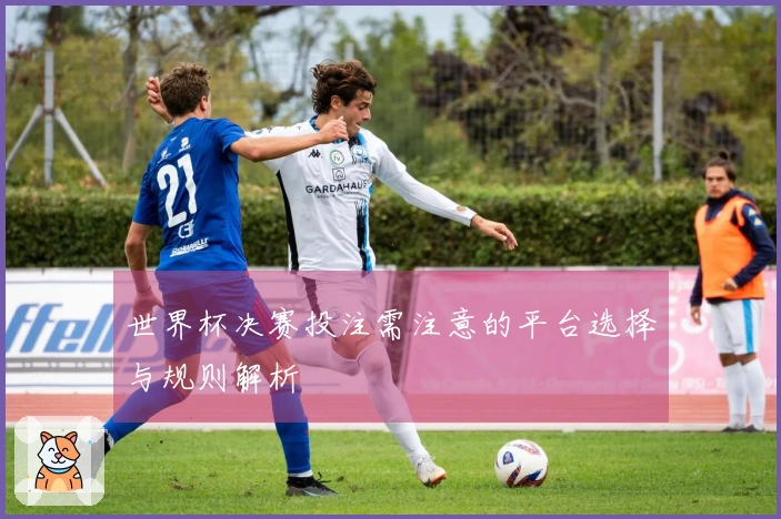 世界杯决赛投注需注意的平台选择与规则解析