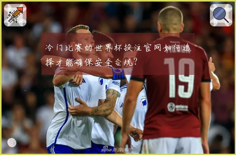 冷门比赛的世界杯投注官网如何选择才能确保安全合规？