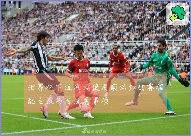 世界杯下注网站使用前必知的赛程配合技巧与注意事项