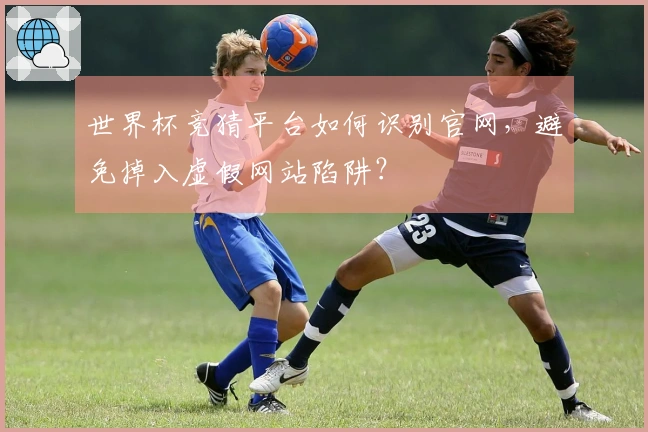 世界杯竞猜平台如何识别官网，避免掉入虚假网站陷阱？
