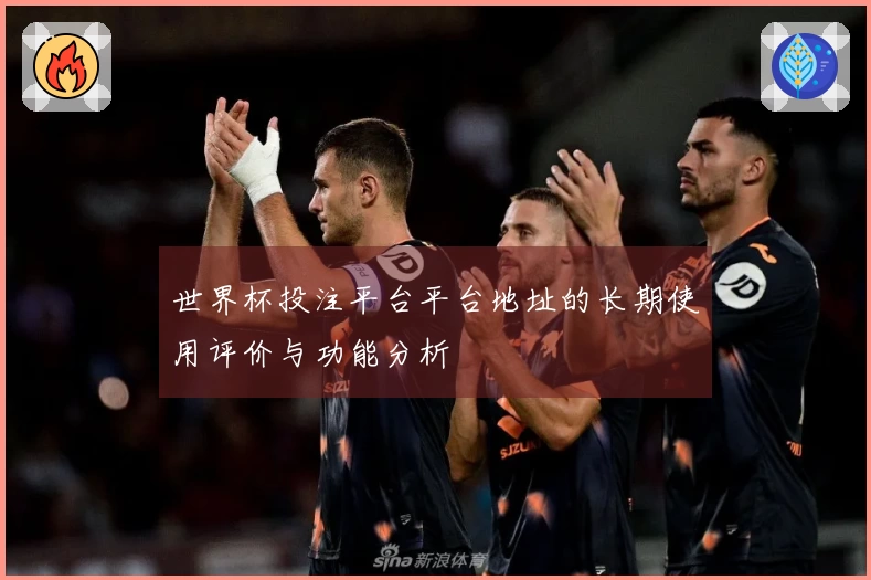 世界杯投注平台平台地址的长期使用评价与功能分析