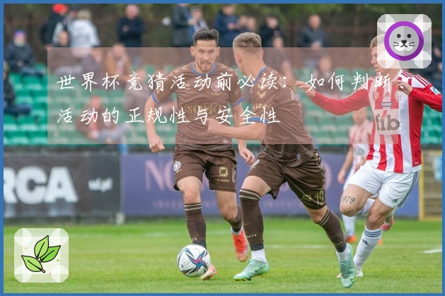 世界杯竞猜活动前必读：如何判断活动的正规性与安全性