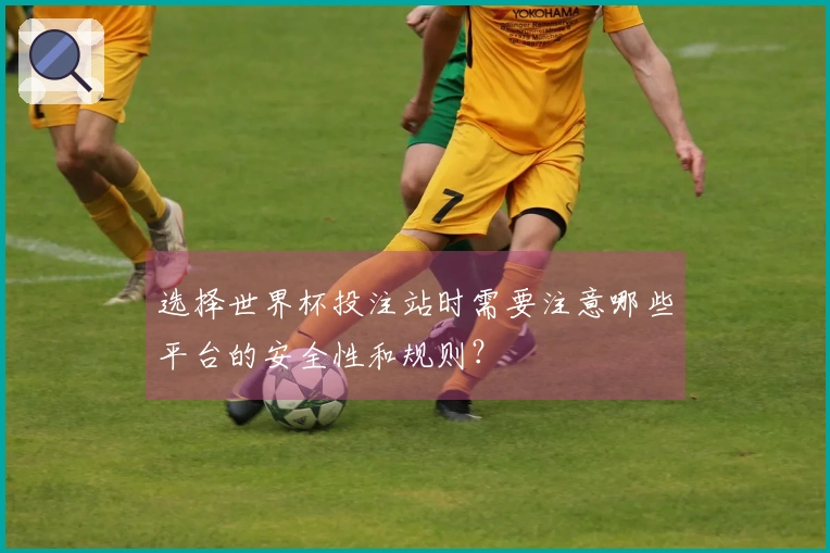 选择世界杯投注站时需要注意哪些平台的安全性和规则？