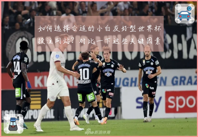 如何选择合适的小白友好型世界杯投注网站？对比一下这些关键因素