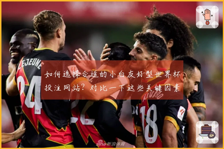 如何选择合适的小白友好型世界杯投注网站？对比一下这些关键因素
