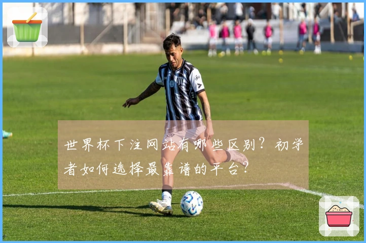 世界杯下注网站有哪些区别？初学者如何选择最靠谱的平台？