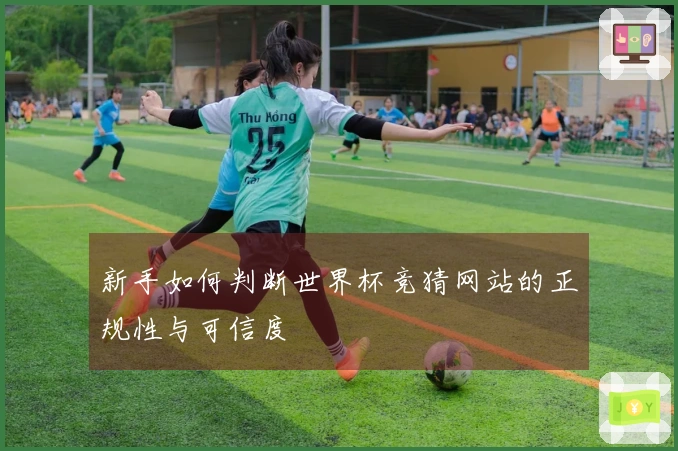 新手如何判断世界杯竞猜网站的正规性与可信度