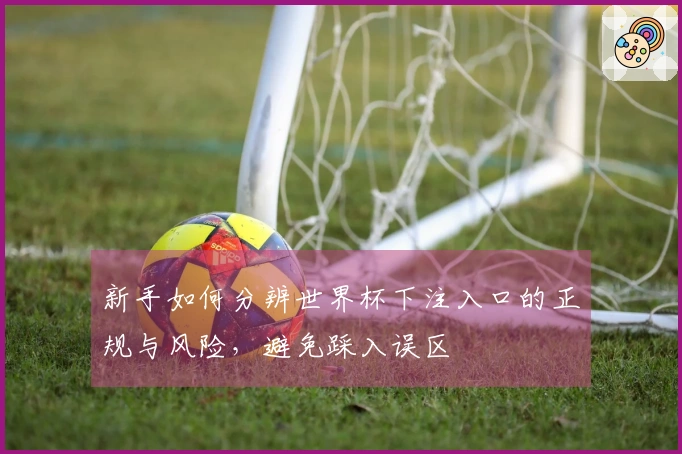 新手如何分辨世界杯下注入口的正规与风险，避免踩入误区
