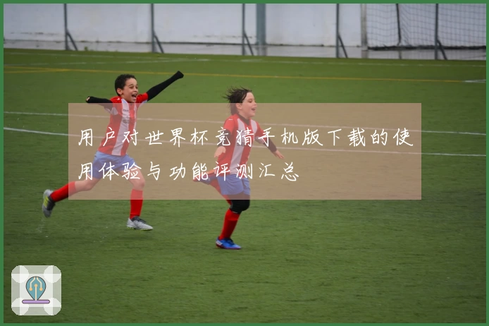 用户对世界杯竞猜手机版下载的使用体验与功能评测汇总