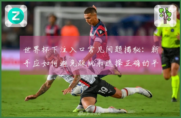 世界杯下注入口常见问题揭秘：新手应如何避免踩坑和选择正确的平台
